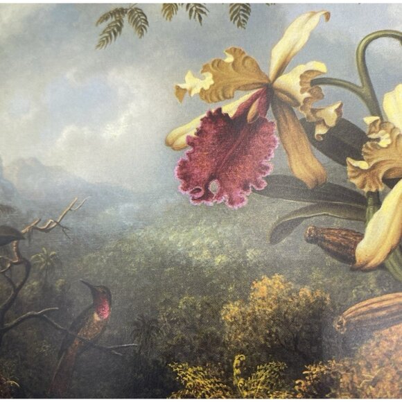 Museum of Fine Arts Boston Note Cards 6 Blank Orchids Hummingbirds w/ Envelopes - Picture 13 of 15